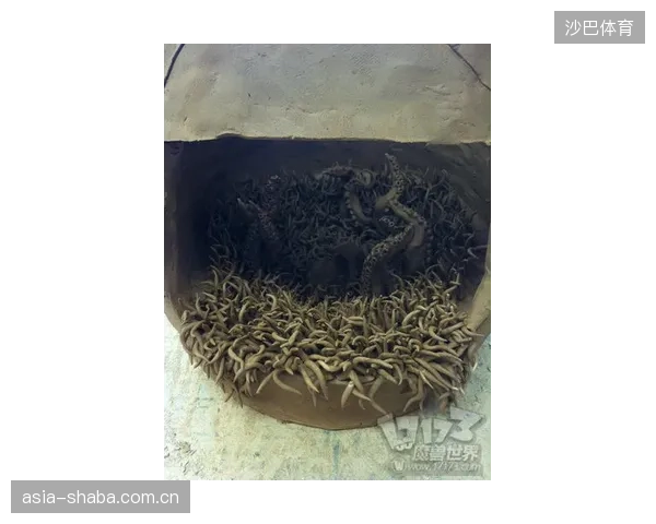 技术的过度下放：将专业队使用的sEMG监控包装成大众健身产品，是在解决痛点还是在贩卖焦虑？